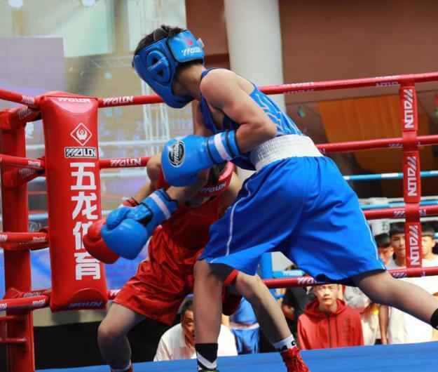 ＂拳神之战＂2020河北省青少年拳击锦标赛鸣锣开赛