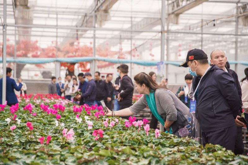 第五届中国西部花卉产业发展大会兴庆区花卉产业考察及产销对接顺利开展