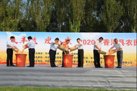香河县农民丰收节在大爱城生态农场举行，李大彦总裁出席并讲话