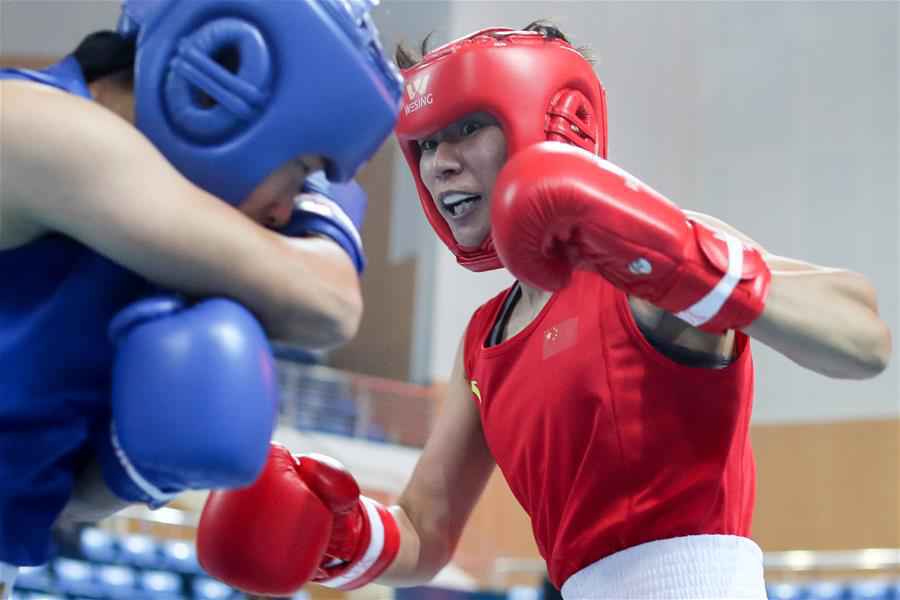 （体育）（3）拳击——全国女子锦标赛：杨文璐晋级四强
