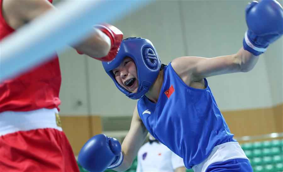 （体育）（3）拳击——全国女子拳击锦标赛：禹立赛晋级