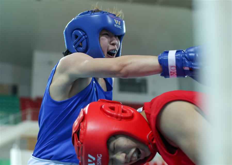 （体育）（8）拳击——全国女子拳击锦标赛：禹立赛晋级