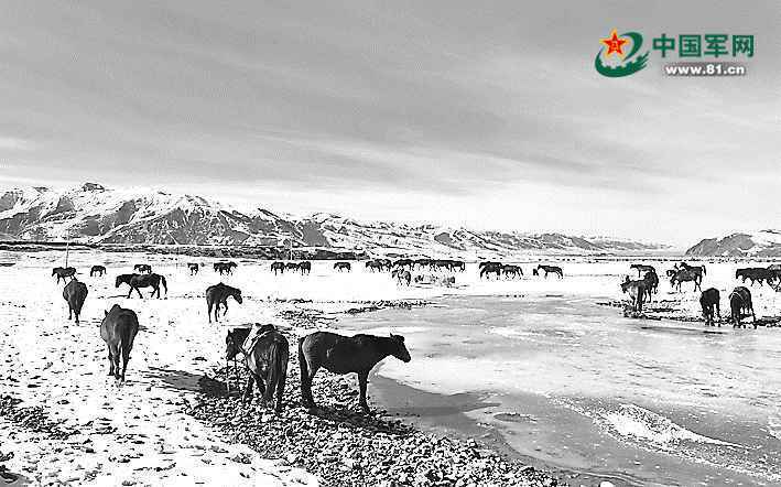 雪落时节，青藏高原骑兵告别他们纵马挥刀的巴塘草原