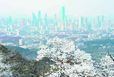 夜雪初霁“冻力”十足 南京本周或再迎雨雪